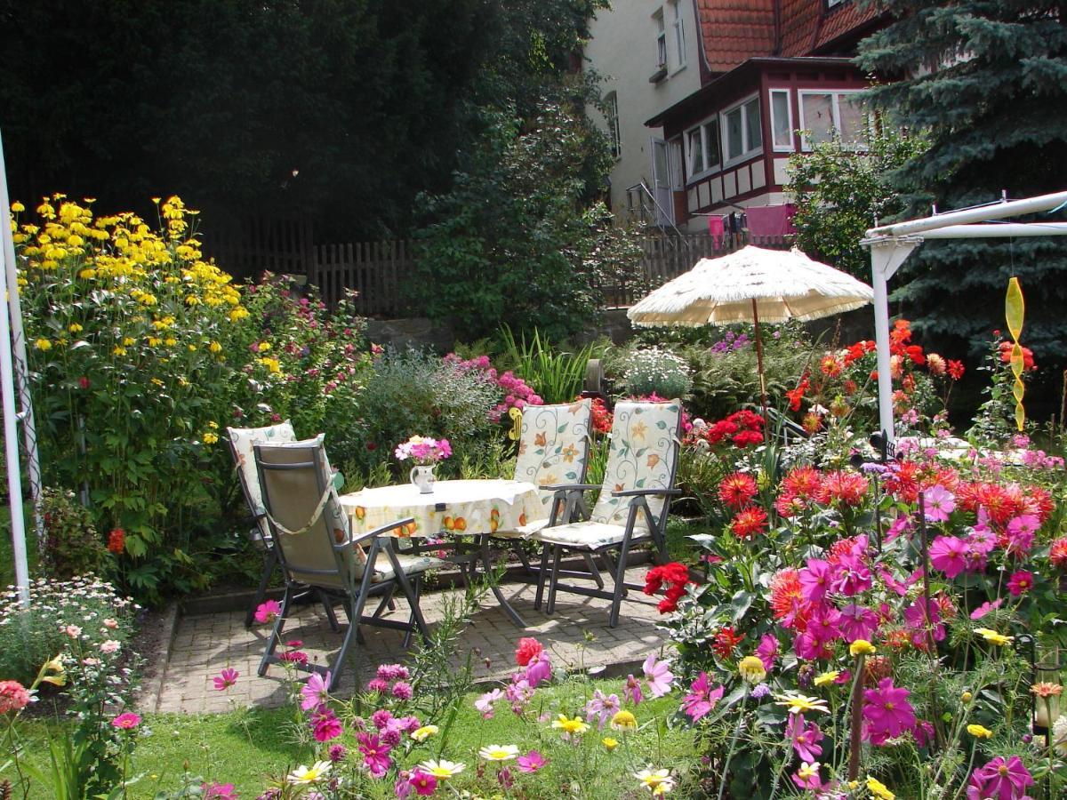 Abendroete Apartment Wernigerode Ngoại thất bức ảnh